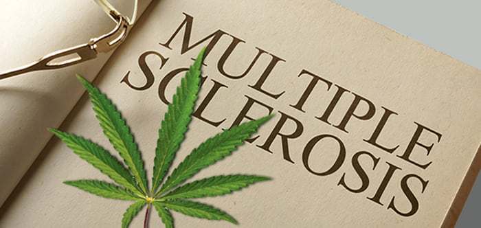 A cannabis leaf on a document titled Multiple Sclerosis