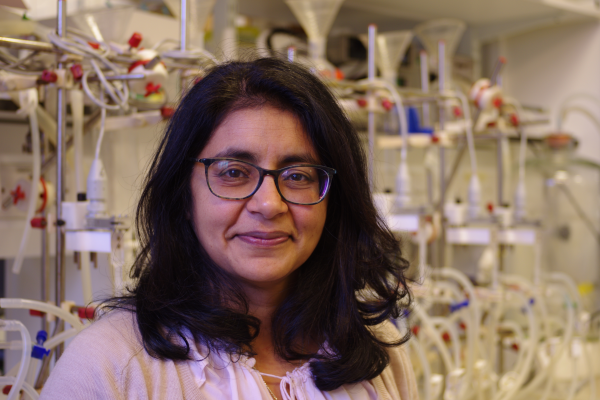Professor Amrita Ahluwalia appointed as the new Dean for Research