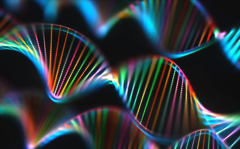 Digital visualization of DNA