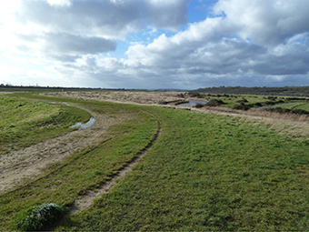Hadleigh Marsh waste filled flood embankment in Essex, UK