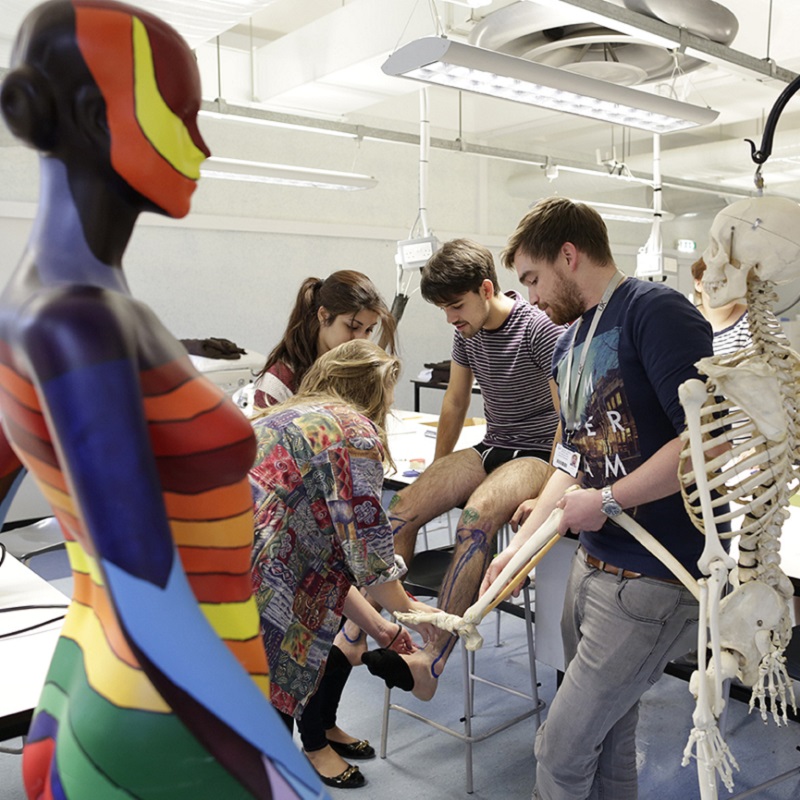 Medical students practising skills in anatomy class