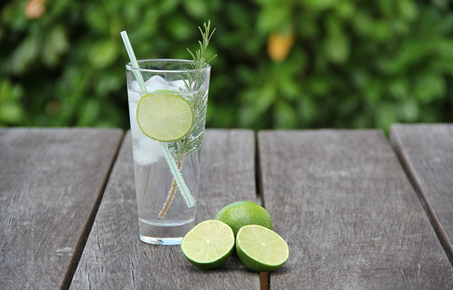 Gin and Tonic. Credit: Pixabay