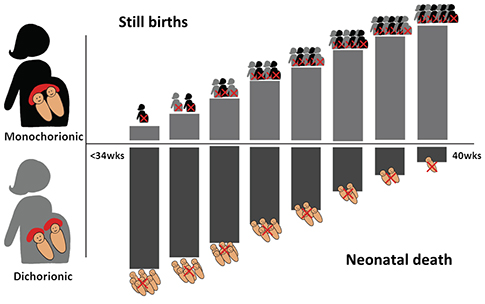 Graph showing the change in risk of stillbirth and neonatal death