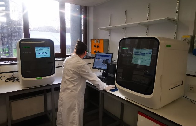 NHS Test and Trace samples being run in a PCR machine at Queen Mary
