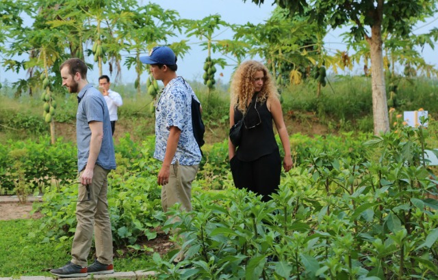 The QMUL team also visited a traditional herbal medicine garden in Ben Tre province.