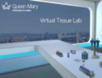The Virtual Lab allows students to learn lab skills in bioengineering  