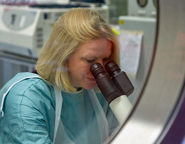 Medical research - woman looking through microspcope, QMUL
