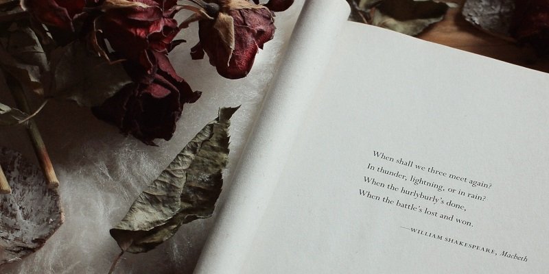the leaf of a book open with a William Shakespeare quote and roses scattered around