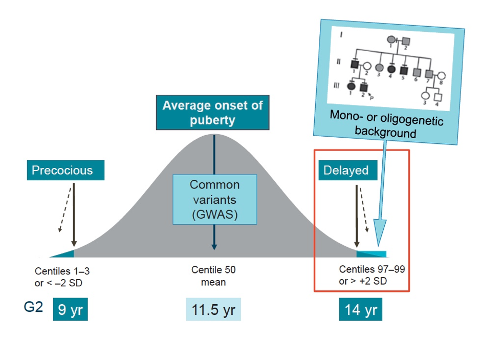 Genetics of the timing of puberty
