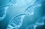 Digital graphics image of the DNA double helix in blue