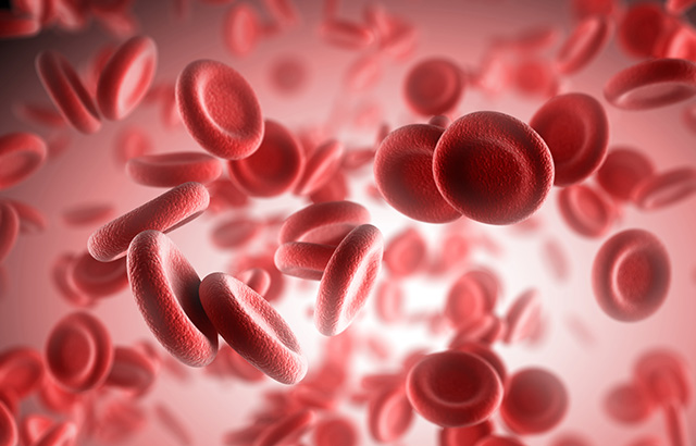 Digital graphic image of red blood cells