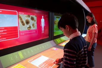 School children exploring the interactive games during a visit to STEM Pod