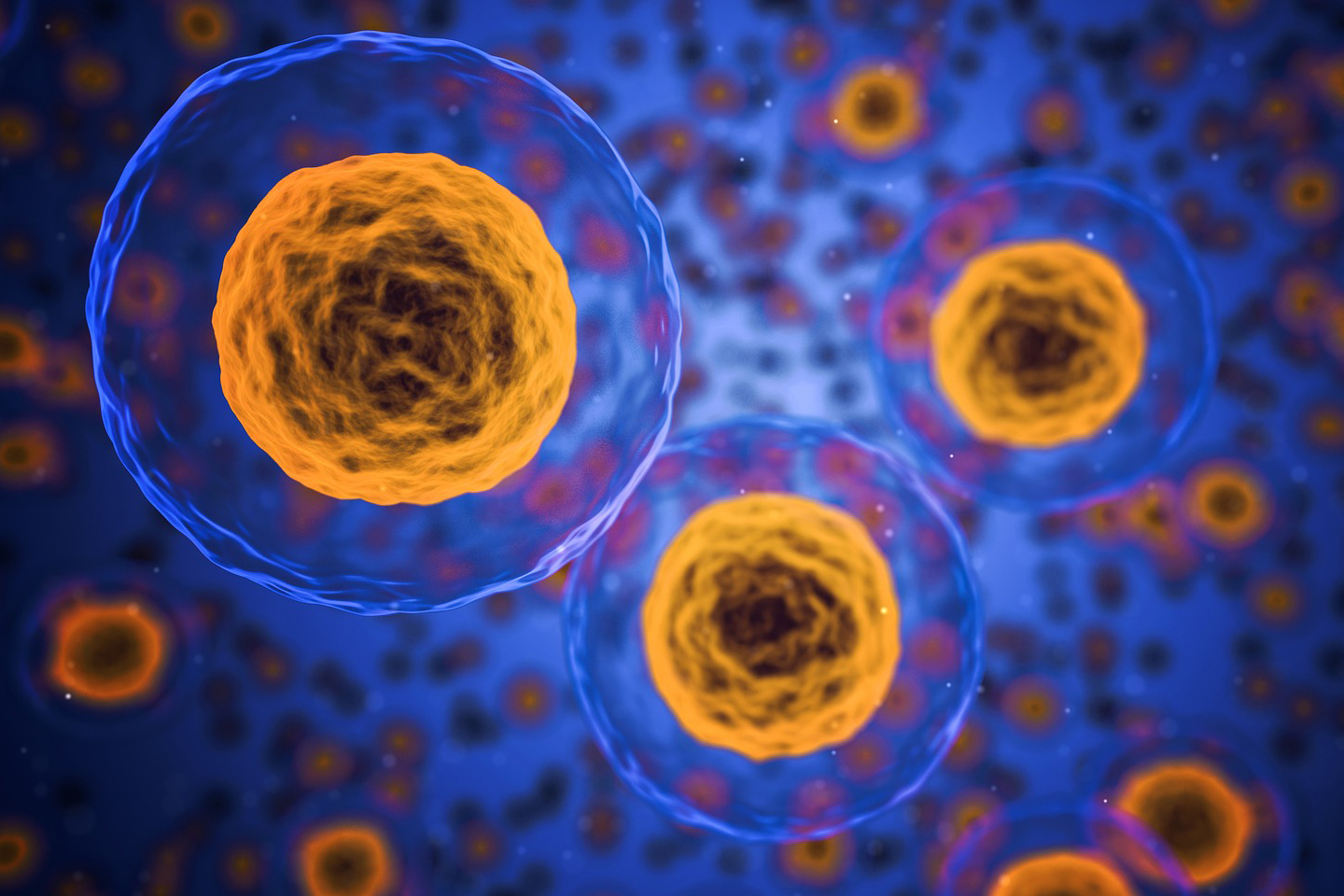 Digital graphics image of cells in blue and orange