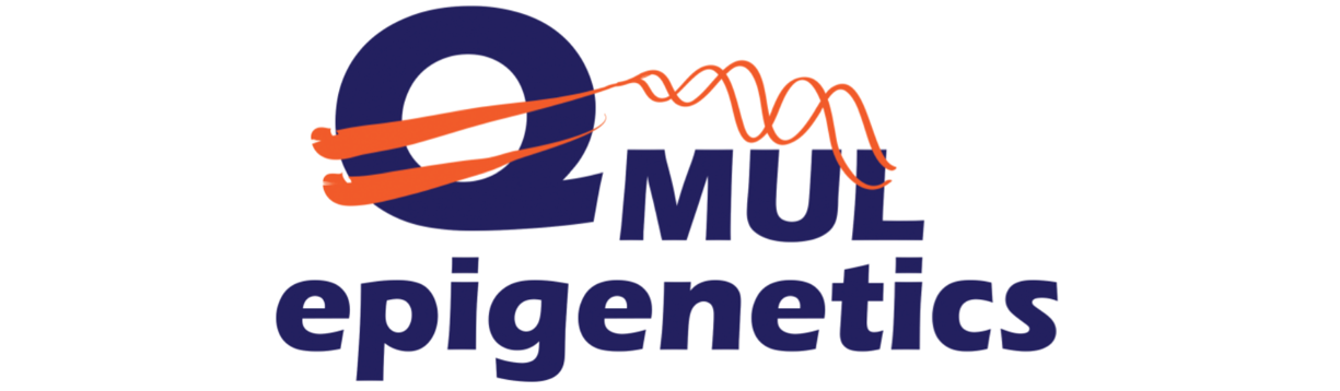QMUL Epigenetics Hub Logo