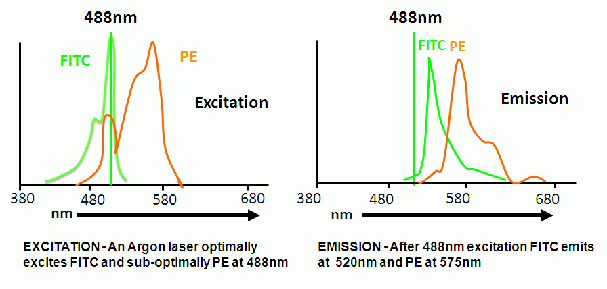 Excitation and emission