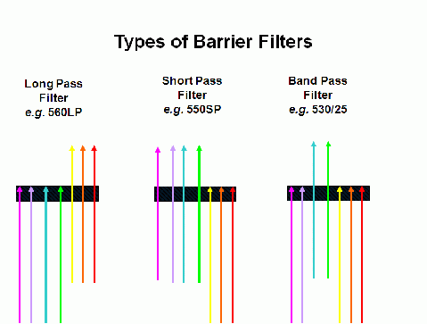 Barrier Filters