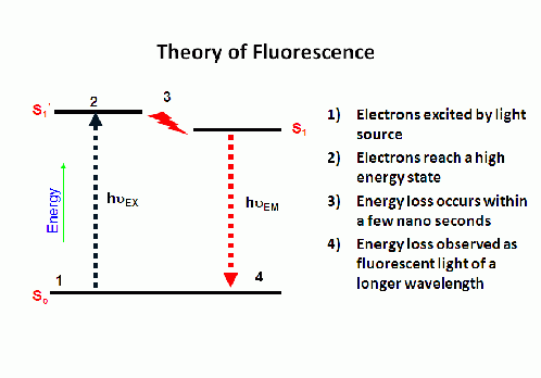 theory