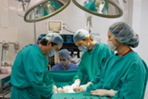 Surgeons operating on a trauma patient