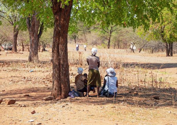 Zimbabwe women and children sitting under a tree