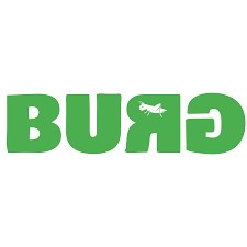 BURG logo