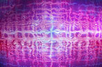 Distorted binary code on a purple background