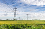 Pylons in a field of yellow flowers