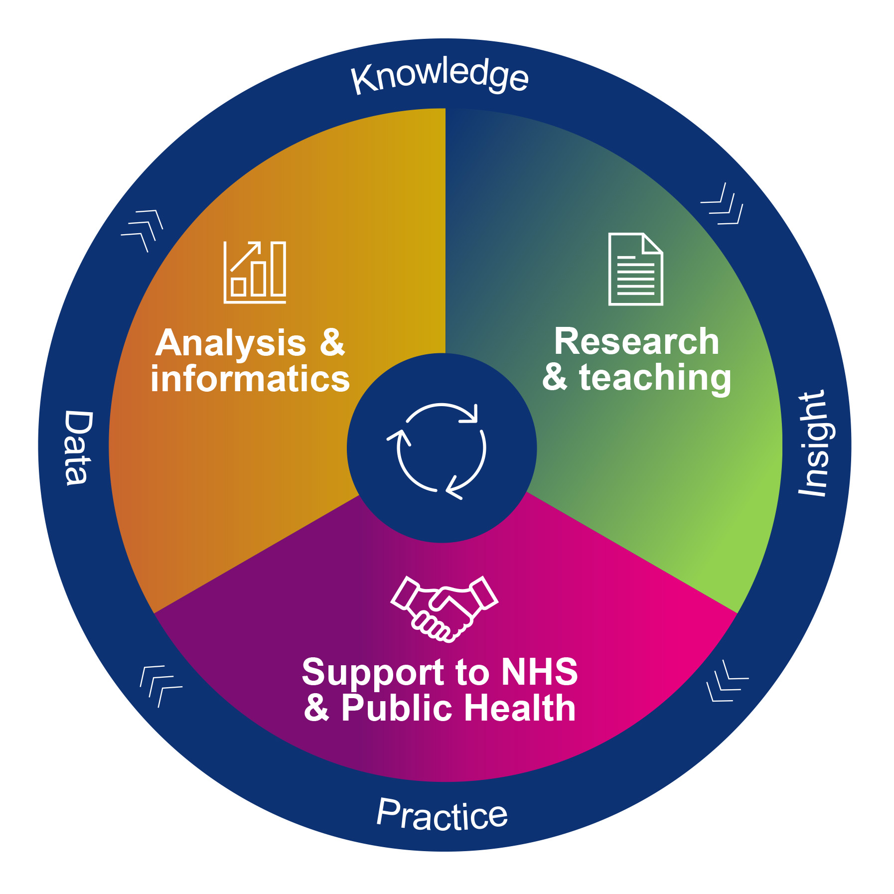 What we do graphic - analysis and informatics, research and teaching, support to NHS and public health