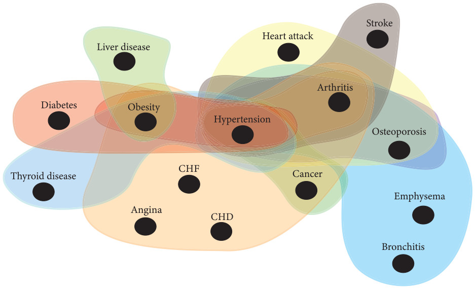 Graphic from the research paper - overlapping shaded areas show the clusters of diseases described in the news story