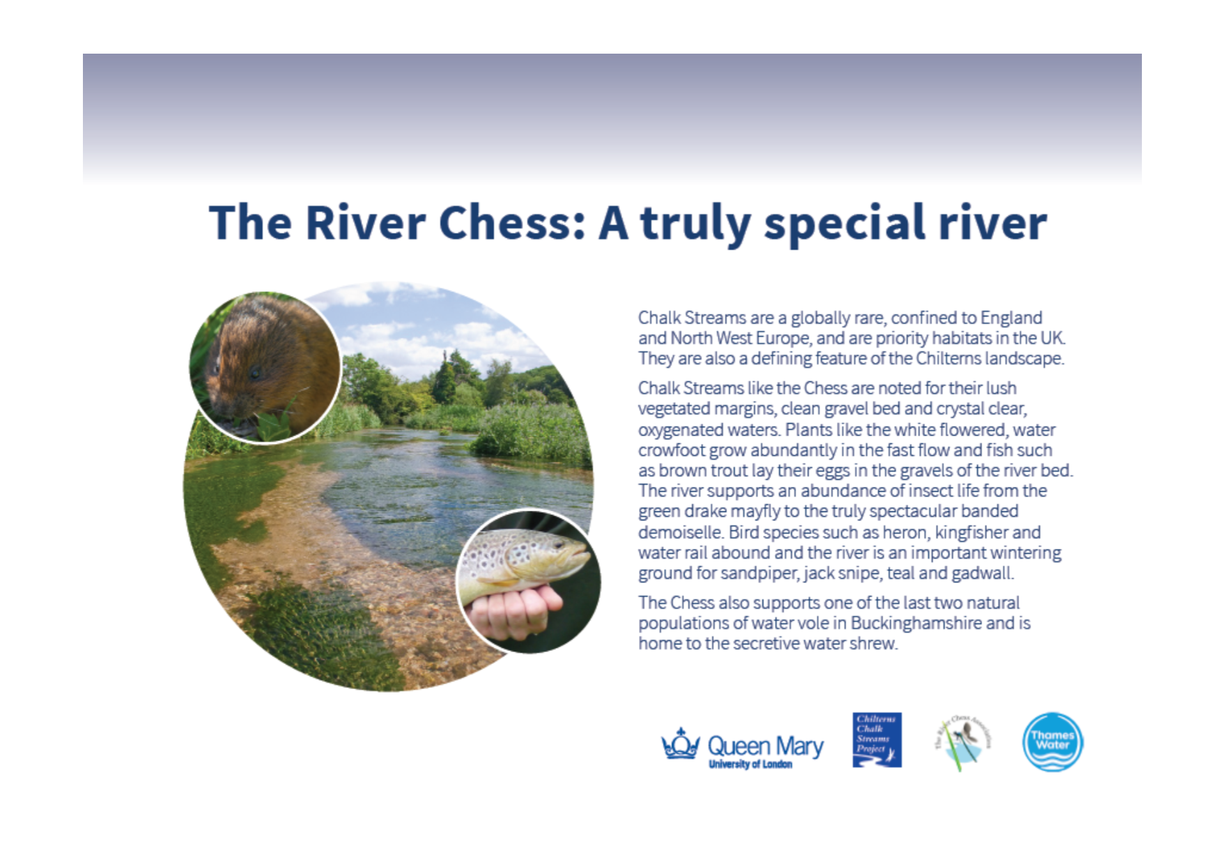 Thumbnail of our poster explaining why the River Chess is such a special river.