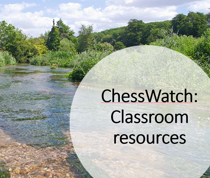 Thumbnail for ChessWatch classroom resources.
