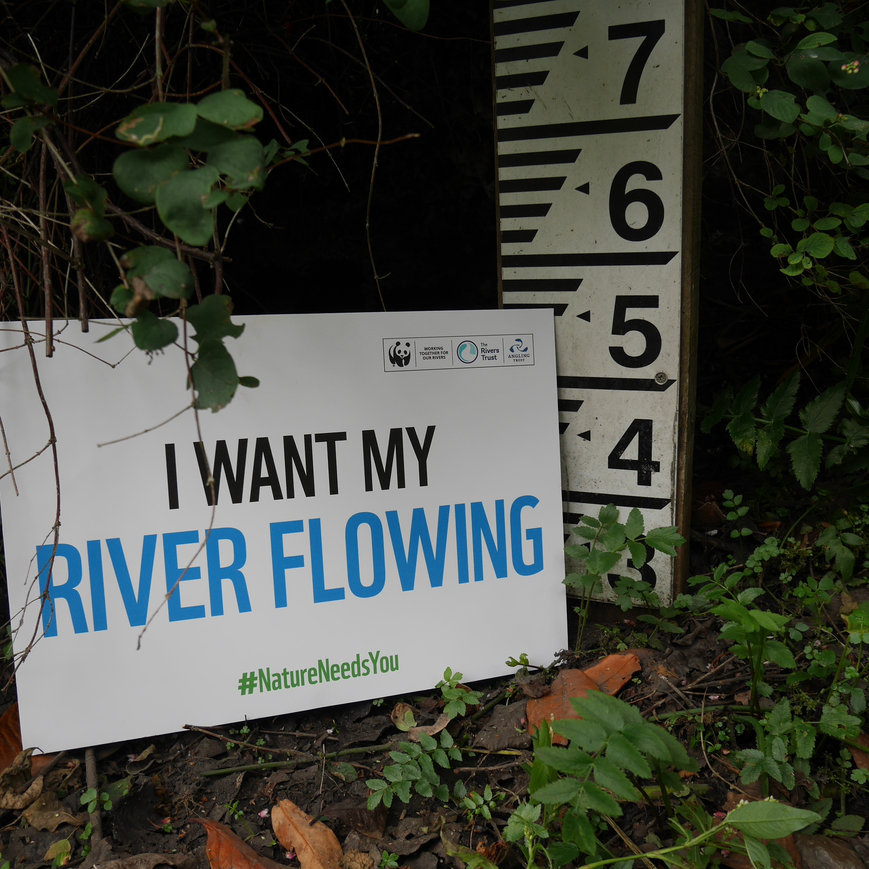 A gauge board in the River Chess with a sign stating 'I want my river flowing'.
