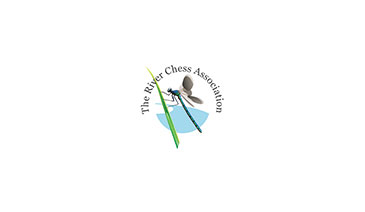 Logo for River Chess Association with dragonfly.
