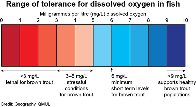 Figure showing the sensitivity of brown trout to different concentrations of dissolved oxygen in water.