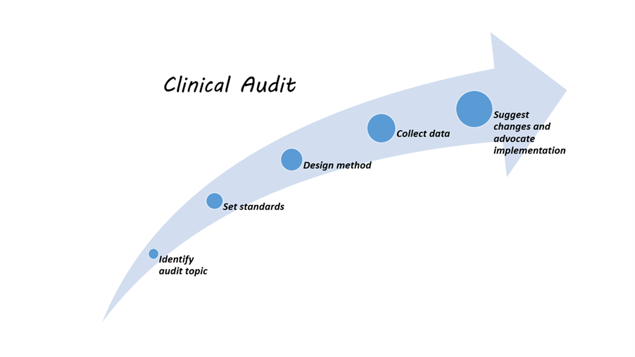 Clinical Audits