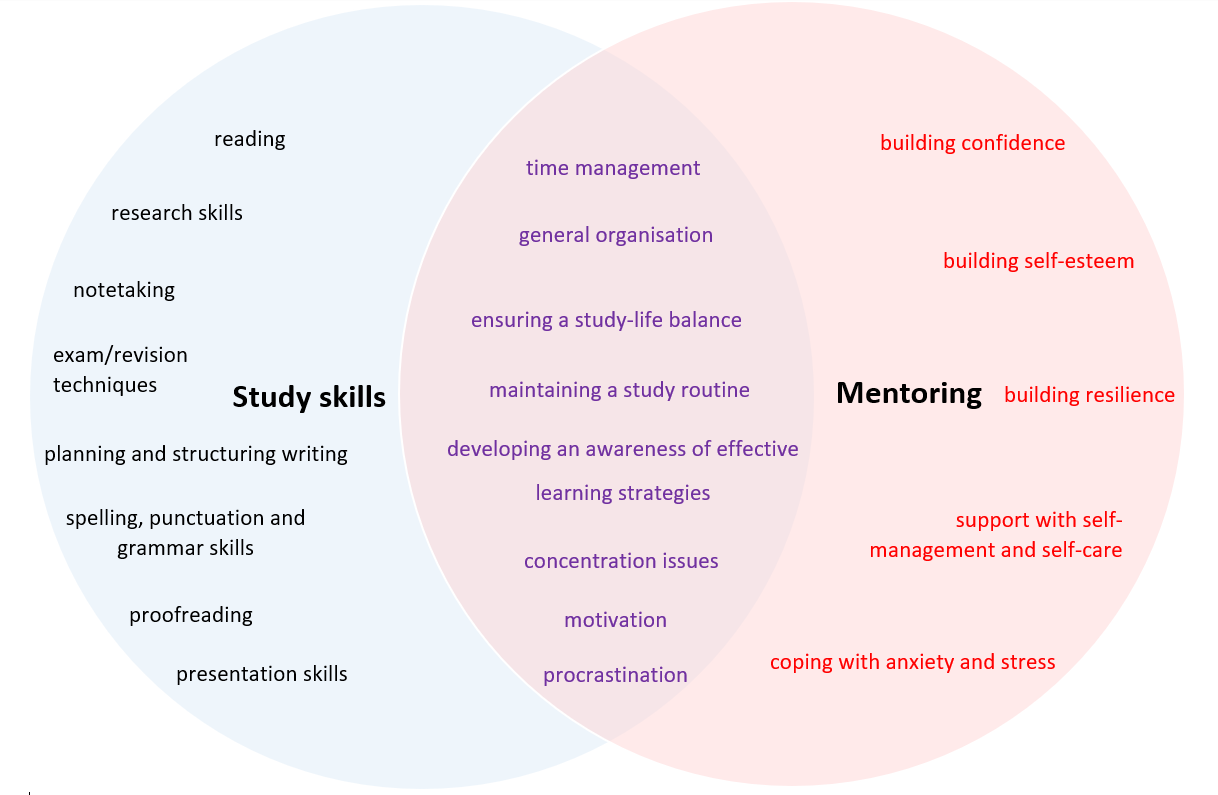 The similarities and differences between study skills and specialist mentoring