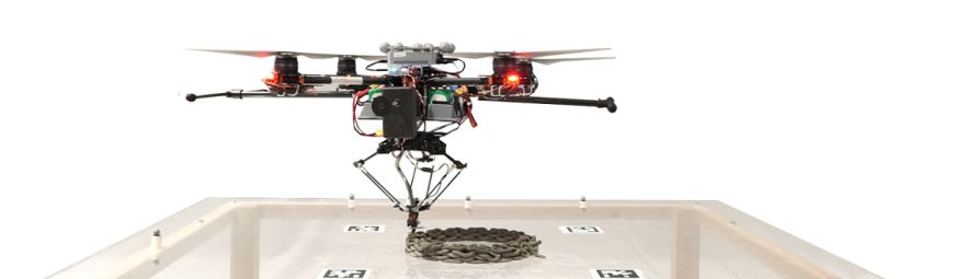 Bee-inspired drones