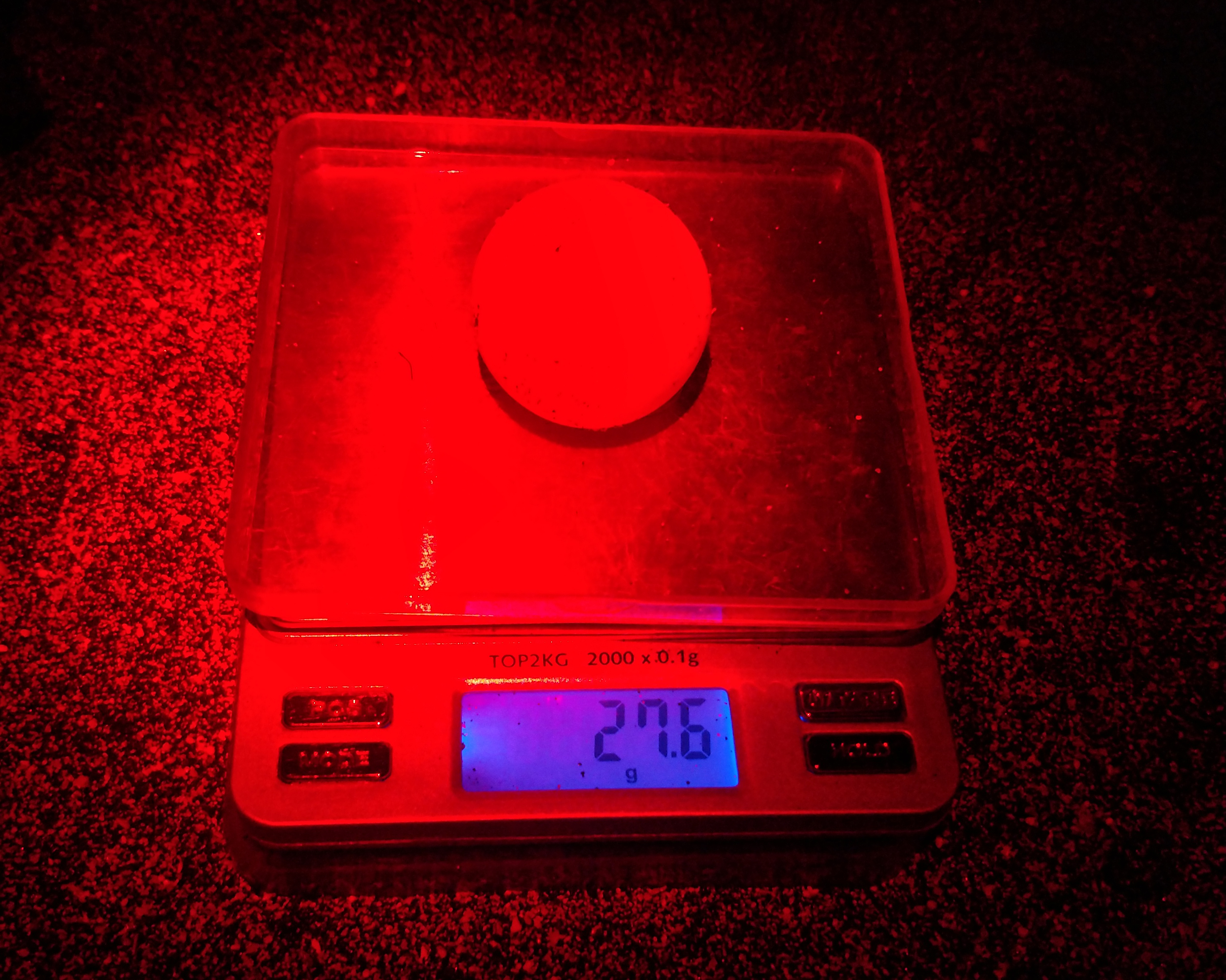 Weighting a loggerhead turtle egg