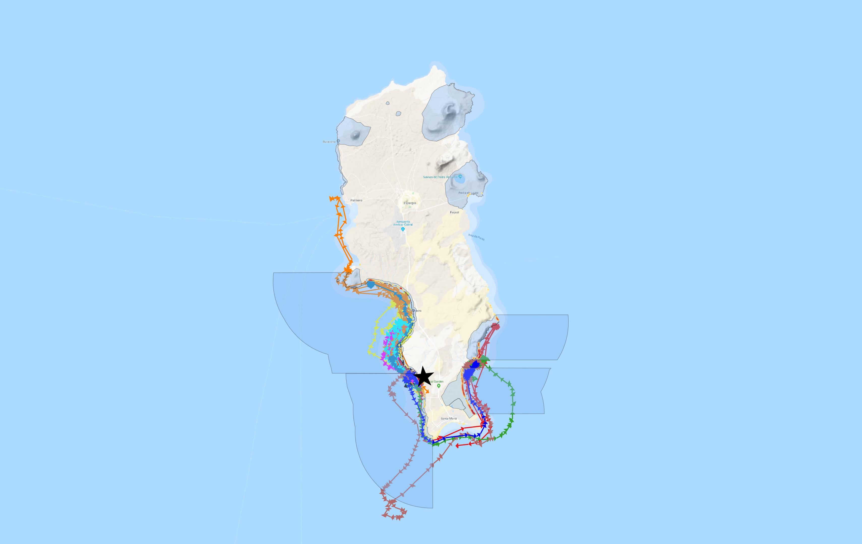 Map of Sal Island with GSM-relayed devices tracks from female loggerhead turtles. The black star marks the beach where the devices were deployed. Darker blue areas are Marine Protected Areas. Lines with arrows are the tracks, each colour represents a different turtle. 
