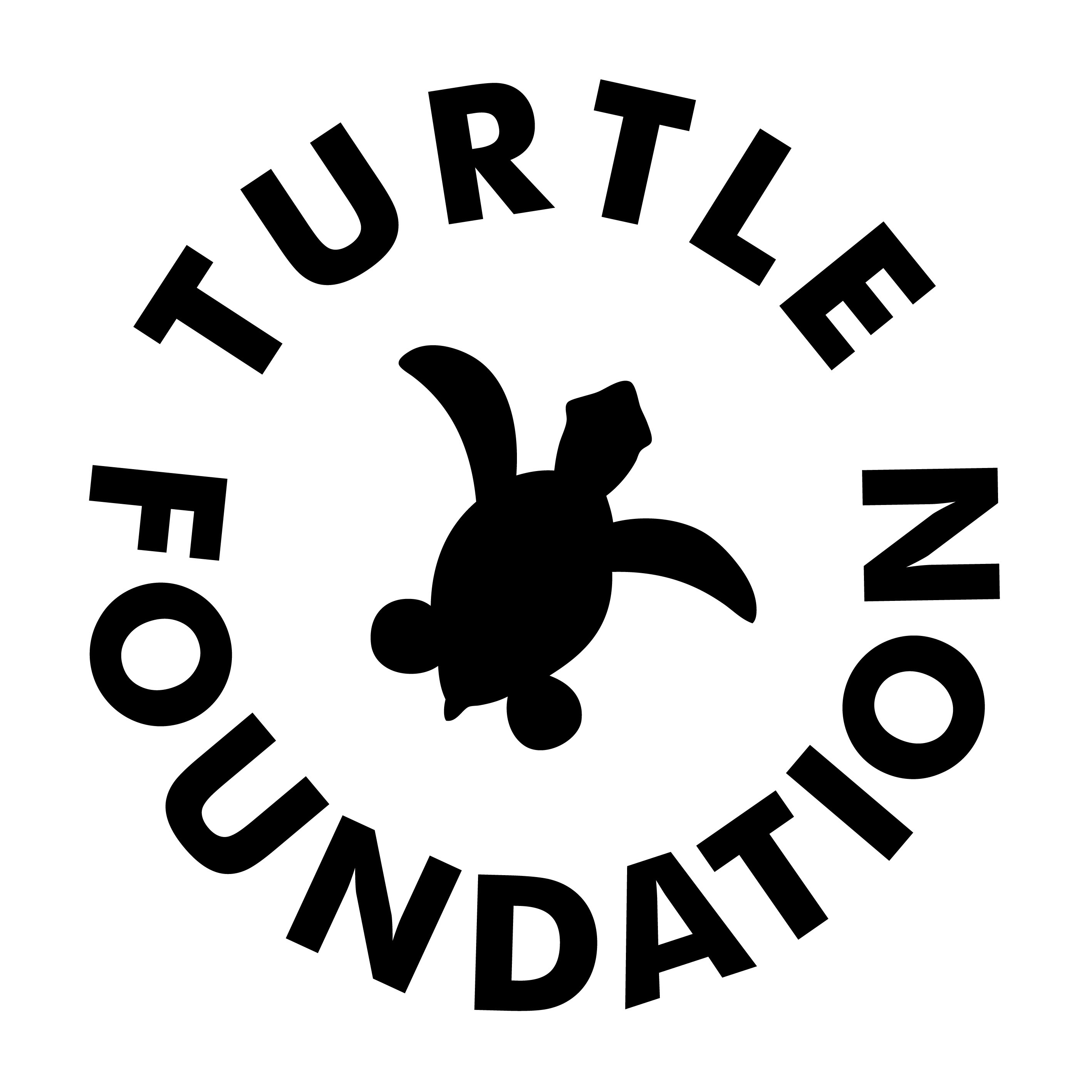 Turtle Foundation Logo