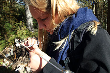 Students use dendrochronology technique to determine the age of trees