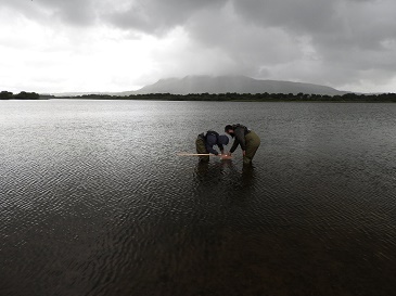The students net sampling on the shore of St Serf's Island with the rain clouds looming overhead © Dave Horne