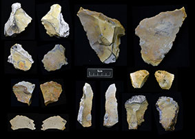 Some of the flint artefacts recovered during on-going excavations at East Farm, Barnham