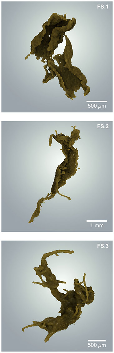 3D reconstructions of natural flocs based on X-ray CT data