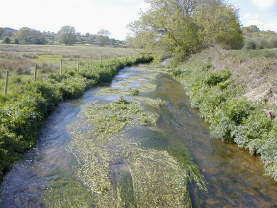 Bere Stream at Snatford Bridge is one of my study sites in the Frome-Piddle Catchment, Dorset, UK (photo: G.Wharton)
