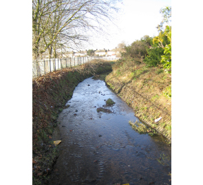 Mayes Brook, Barking, East London. Pre and post project appraisals have focused on the water and sediment quality of this urban river (photo: L. Shuker)