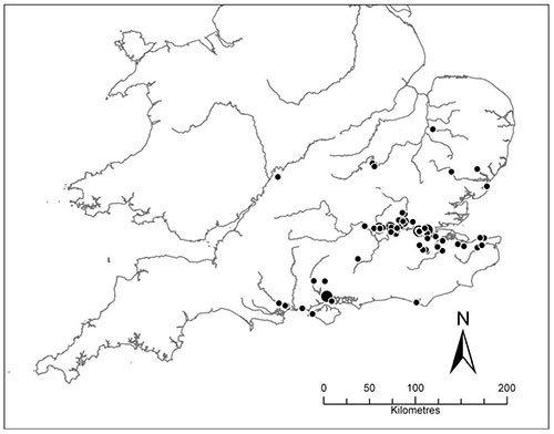 Distribution of Levallois sites in BM Collection from England. Large circles = 10 or more Levallois pieces; small circles = less than 10 Levallois pieces.