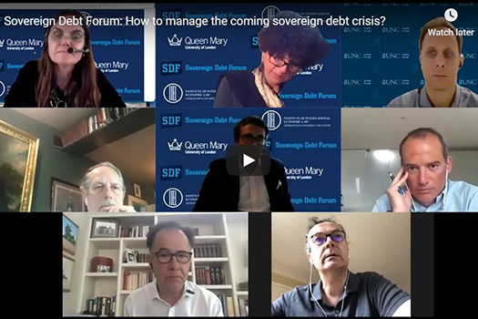 Sovereign Debt Forum video panel screenshot