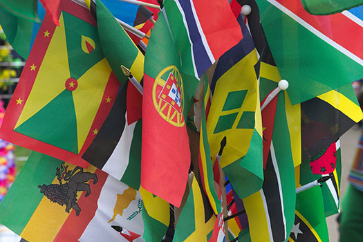 A group of flags of Caribbean territories