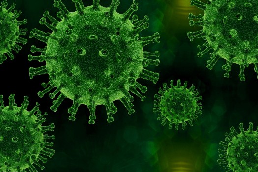 Image of green spiky virus particles on a black background