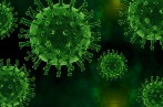 Image of spiky green virus particles on a black background
